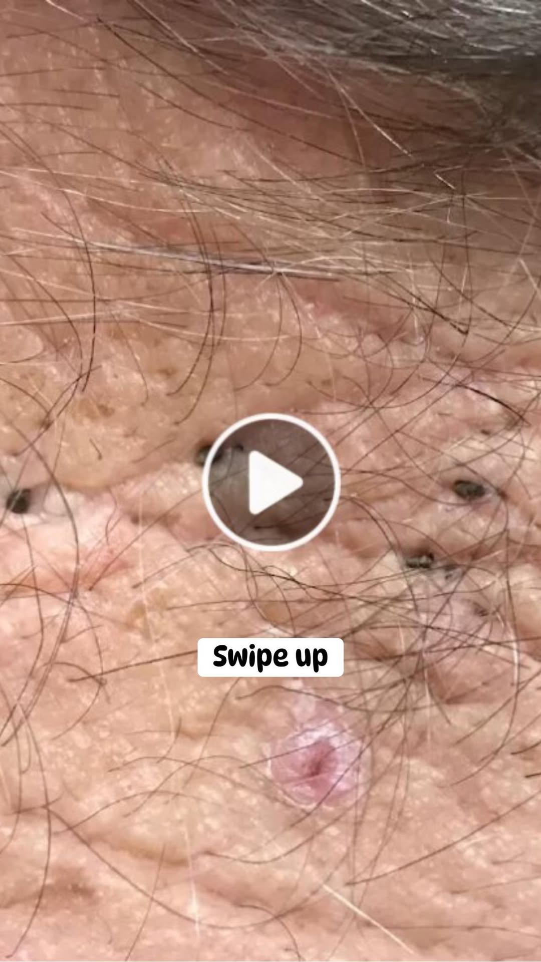 The Twilight Saga: Eclipse